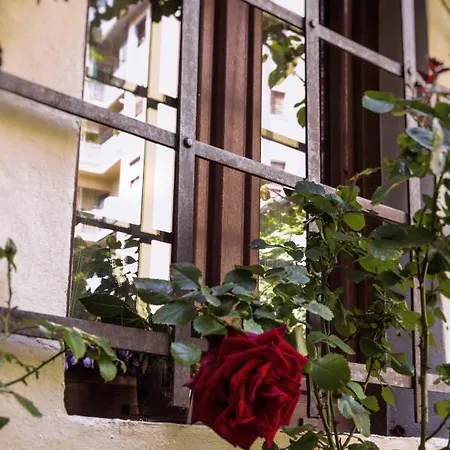 Lovely Nest Near Center Appartamento Firenze